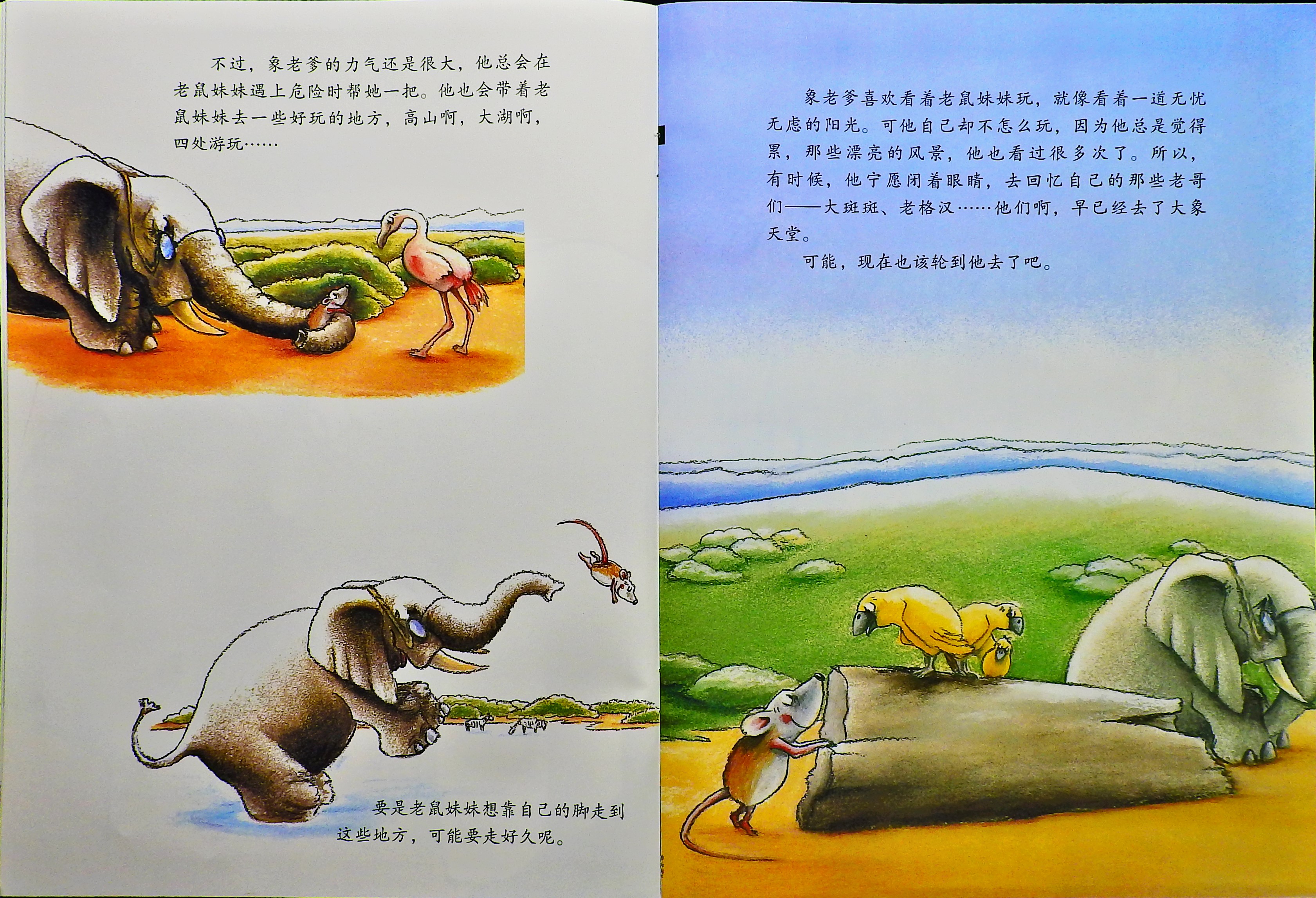 象老爹 (05),绘本,绘本故事,绘本阅读,故事书,童书,图画书,课外阅读